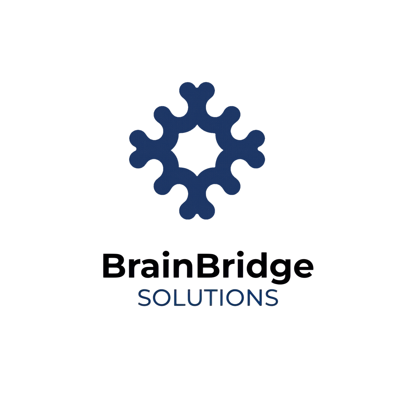BrainBridge Solutions